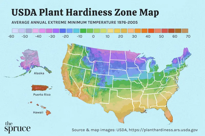 The USDA Plant Hardiness Zone Map, showing various climate zones in different colors to help choose the right apple tree variety for a specific region.