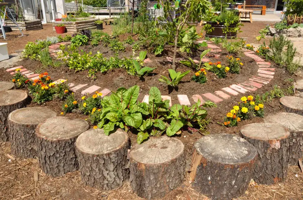 A creative garden border made of repurposed tree stumps