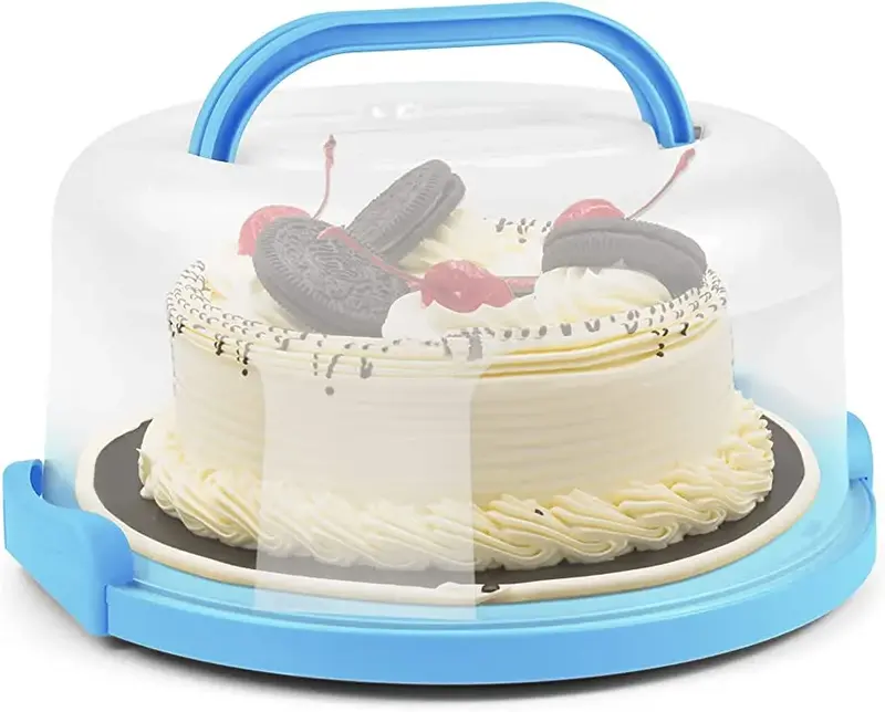 A cake stored in an airtight container to keep it fresh