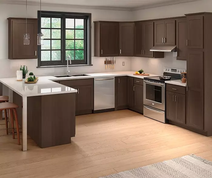 Light Neutral color scheme with dark kitchen cabinets