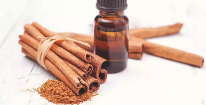 Close-up shot of cinnamon essential oil and cinnamon powder, used as a natural ant deterrent.