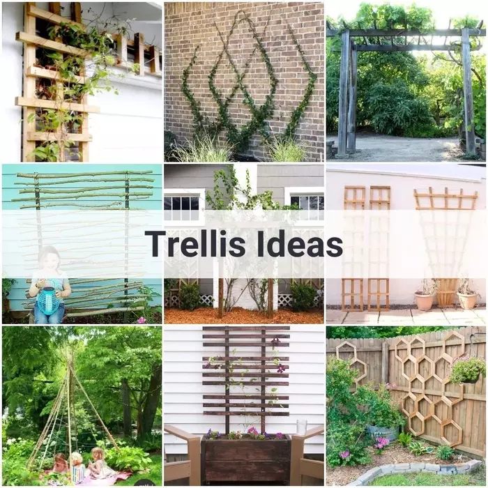 A variety of garden trellises, including wooden, metal, and plastic types, illustrating different options for a Mandevilla plant.