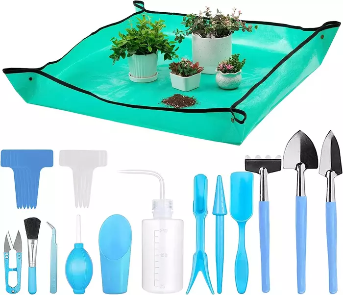 A variety of tools needed for repotting a succulent, including a larger pot, soil mix, trowel, gloves, and top dressing