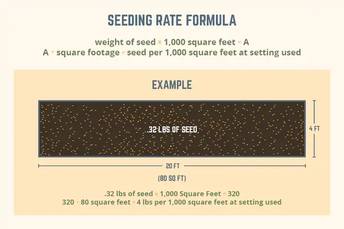 Guide demonstrating how to calculate grass seed requirements