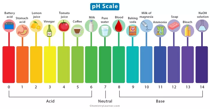 pH scale chart depicting the range of acidity and alkalinity in water.